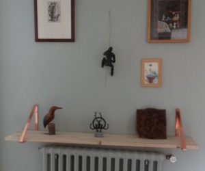 « Cabinet de curiosités »